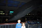 2011-04-02 12-30-26_0006